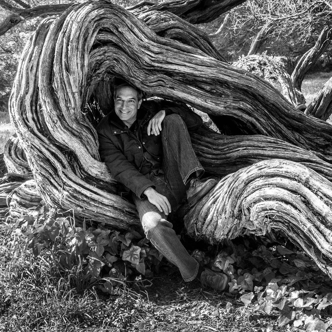 Photo of Nick Kasimatis sitting in the curve of a gnarled tree trunk - SF Bay Area-based professional filmmaker, videographer, photographer, and visual artist